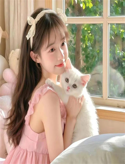 武侠剧经典《蛇年大吉之女婿拜年》的市场表现与观众反响 ——武侠剧爱好者的必读指南